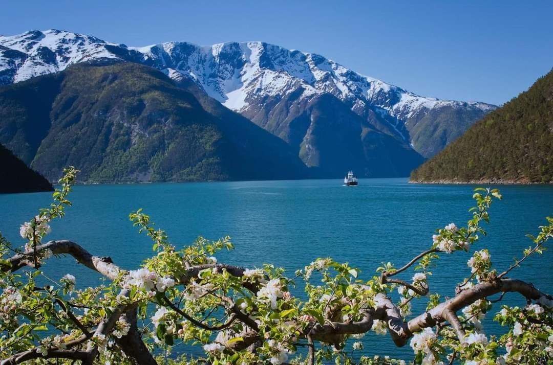 Nedre Amla Fjord Apartment Каупангер Екстериор снимка